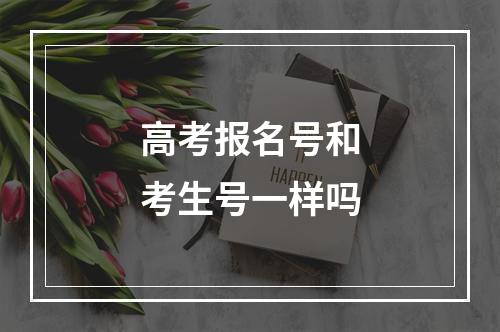 高考报名号和考生号一样吗