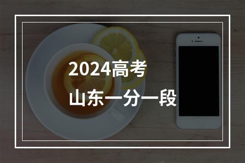 2024高考山东一分一段