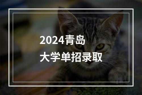 2024青岛大学单招录取