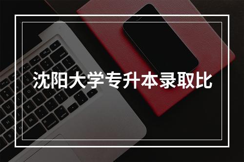 沈阳大学专升本录取比