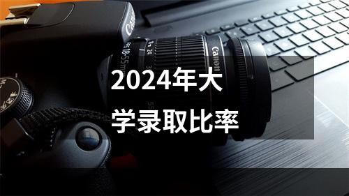 2024年大学录取比率