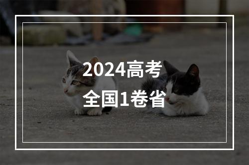 2024高考全国1卷省