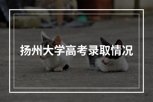 扬州大学高考录取情况