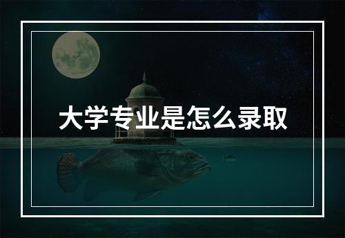 大学专业是怎么录取