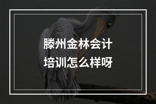 滕州金林会计培训怎么样呀