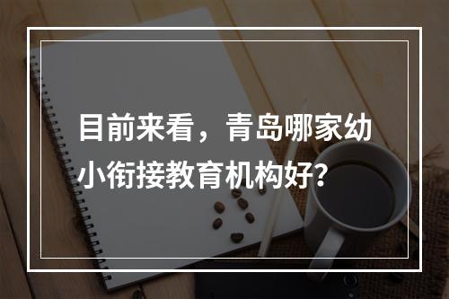 目前来看，青岛哪家幼小衔接教育机构好？