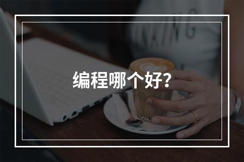 编程哪个好？