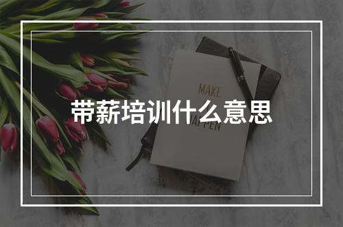 带薪培训什么意思