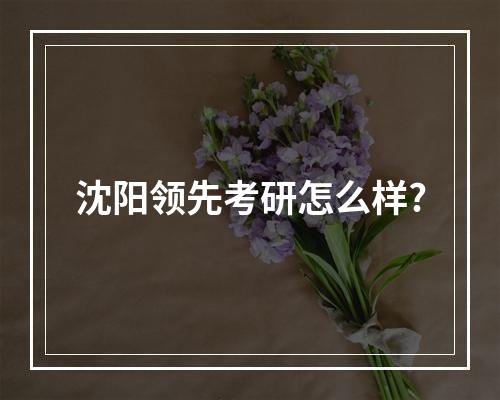 沈阳领先考研怎么样?