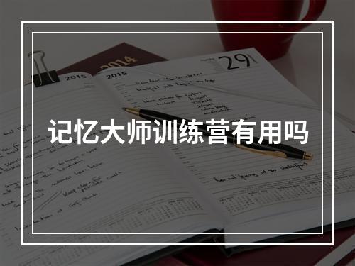 记忆大师训练营有用吗