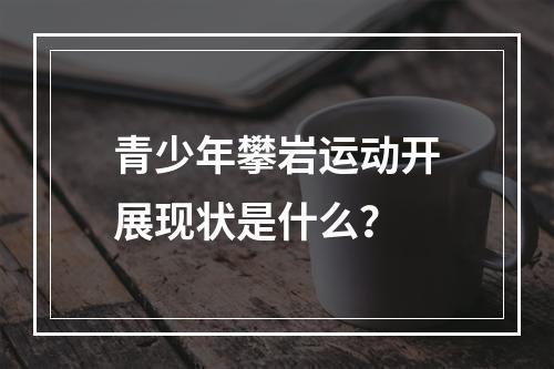 青少年攀岩运动开展现状是什么？