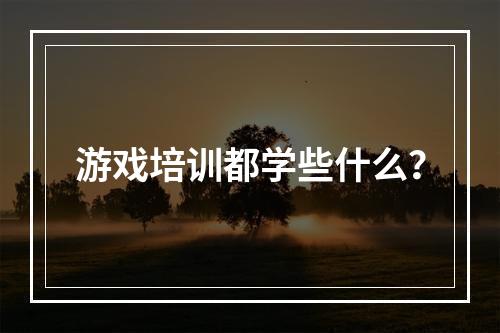 游戏培训都学些什么？