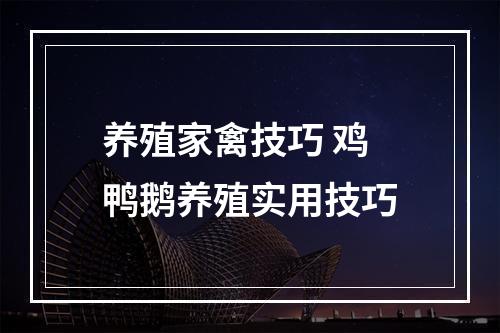 养殖家禽技巧 鸡鸭鹅养殖实用技巧