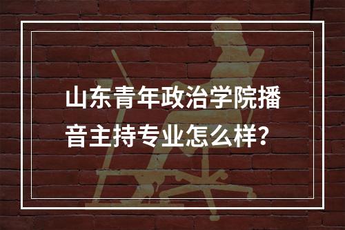 山东青年政治学院播音主持专业怎么样？