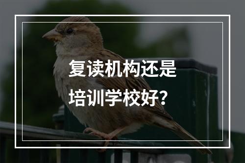 复读机构还是培训学校好？