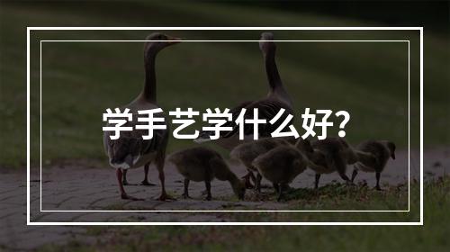 学手艺学什么好？