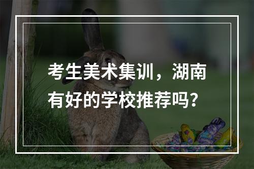 考生美术集训，湖南有好的学校推荐吗？