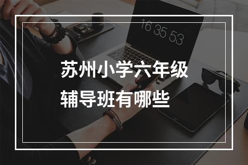 苏州小学六年级辅导班有哪些