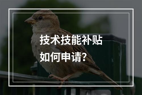 技术技能补贴如何申请？