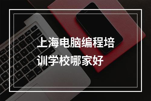 上海电脑编程培训学校哪家好