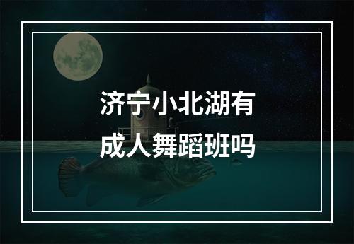 济宁小北湖有成人舞蹈班吗