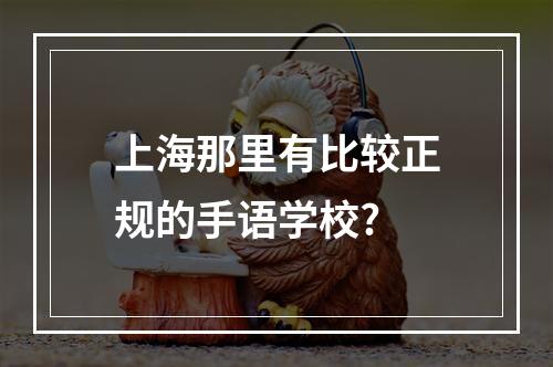 上海那里有比较正规的手语学校?