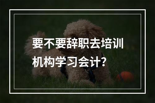 要不要辞职去培训机构学习会计？