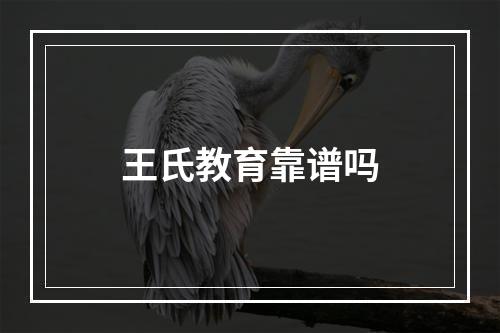 王氏教育靠谱吗