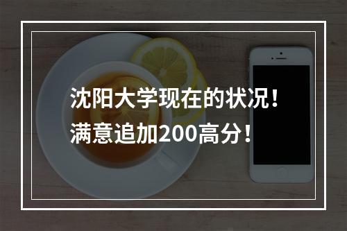 沈阳大学现在的状况！满意追加200高分！