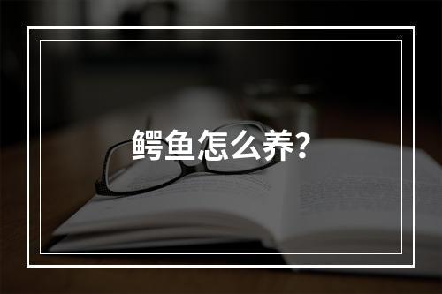 鳄鱼怎么养？