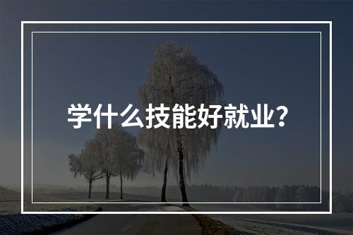 学什么技能好就业？