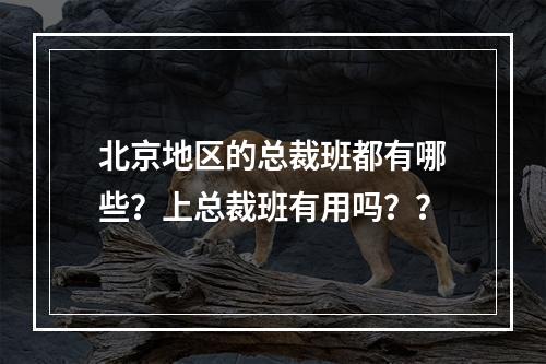 北京地区的总裁班都有哪些？上总裁班有用吗？？