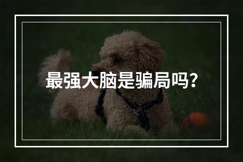 最强大脑是骗局吗？