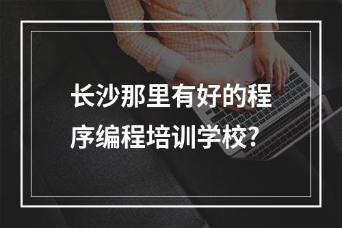 长沙那里有好的程序编程培训学校?