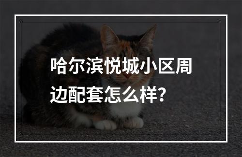 哈尔滨悦城小区周边配套怎么样？