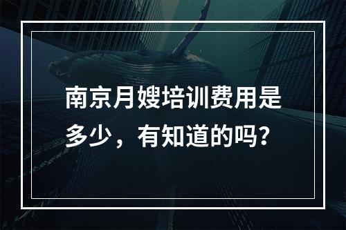 南京月嫂培训费用是多少，有知道的吗？