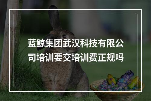 蓝鲸集团武汉科技有限公司培训要交培训费正规吗