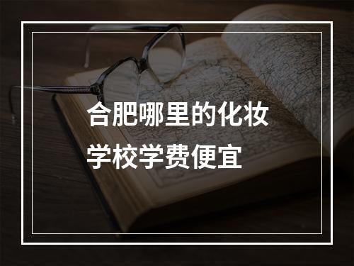 合肥哪里的化妆学校学费便宜