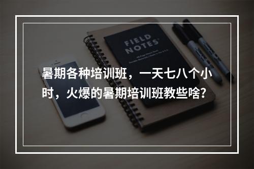 暑期各种培训班，一天七八个小时，火爆的暑期培训班教些啥？