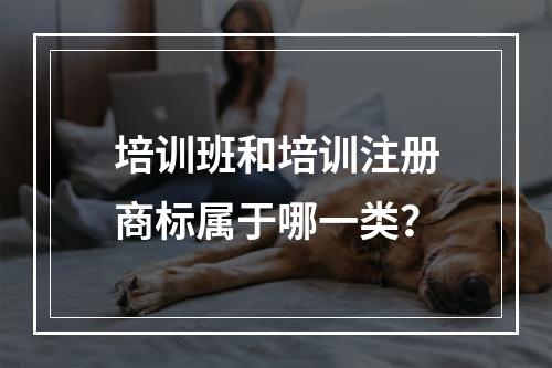 培训班和培训注册商标属于哪一类？