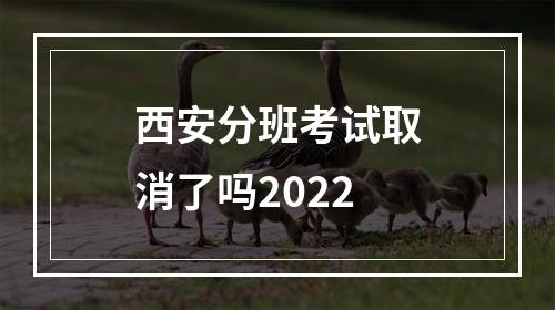 西安分班考试取消了吗2022