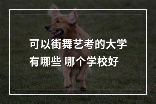 可以街舞艺考的大学有哪些 哪个学校好