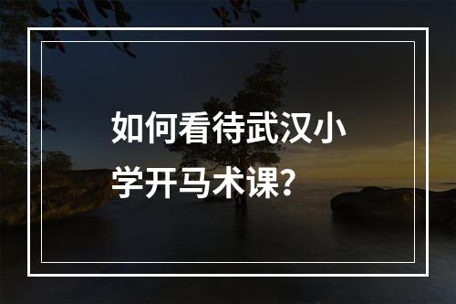 如何看待武汉小学开马术课？