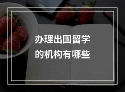 办理出国留学的机构有哪些