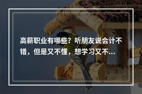 高薪职业有哪些？听朋友说会计不错，但是又不懂，想学习又不知道曲靖哪里有学会计的？跪求帮忙。。。。