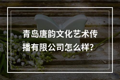 青岛唐韵文化艺术传播有限公司怎么样？