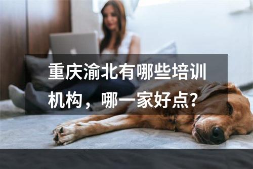 重庆渝北有哪些培训机构，哪一家好点？