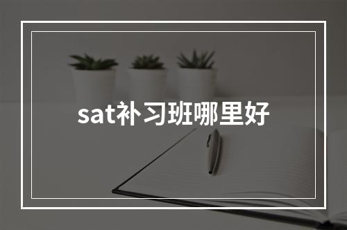 sat补习班哪里好