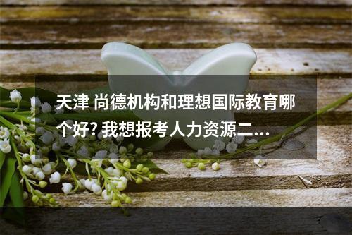 天津 尚德机构和理想国际教育哪个好? 我想报考人力资源二级管理师，想知道这两个培训机构哪个好一点？