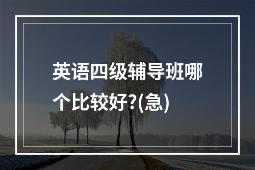 英语四级辅导班哪个比较好?(急)